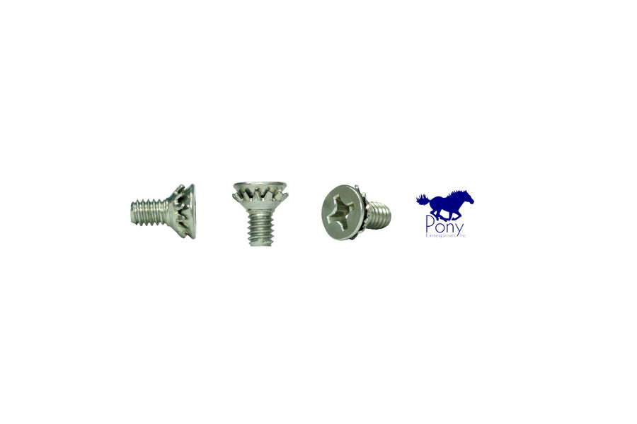 Mustang II screw, door latch (3)